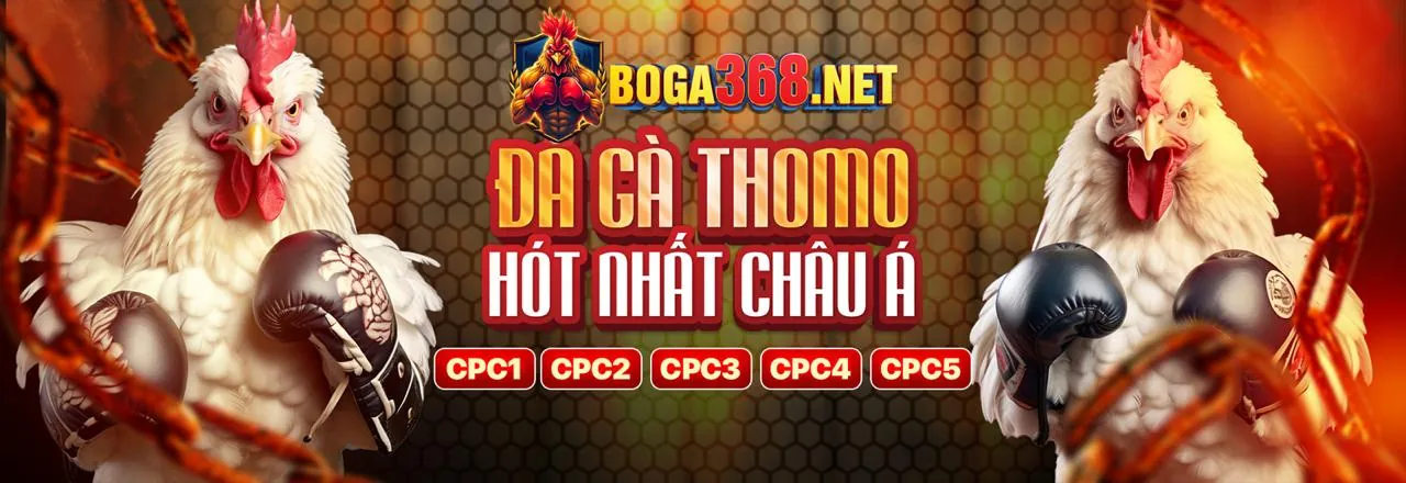 Tải ứng dụng Best88 chính thức để trải nghiệm cá cược đỉnh cao