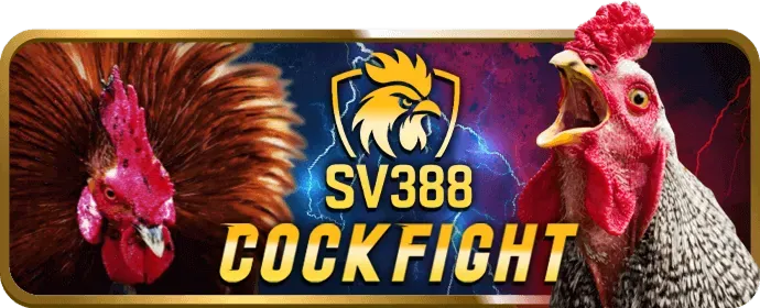 Sứ Mệnh Của Best88